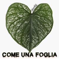 come una foglia (feat. tota)