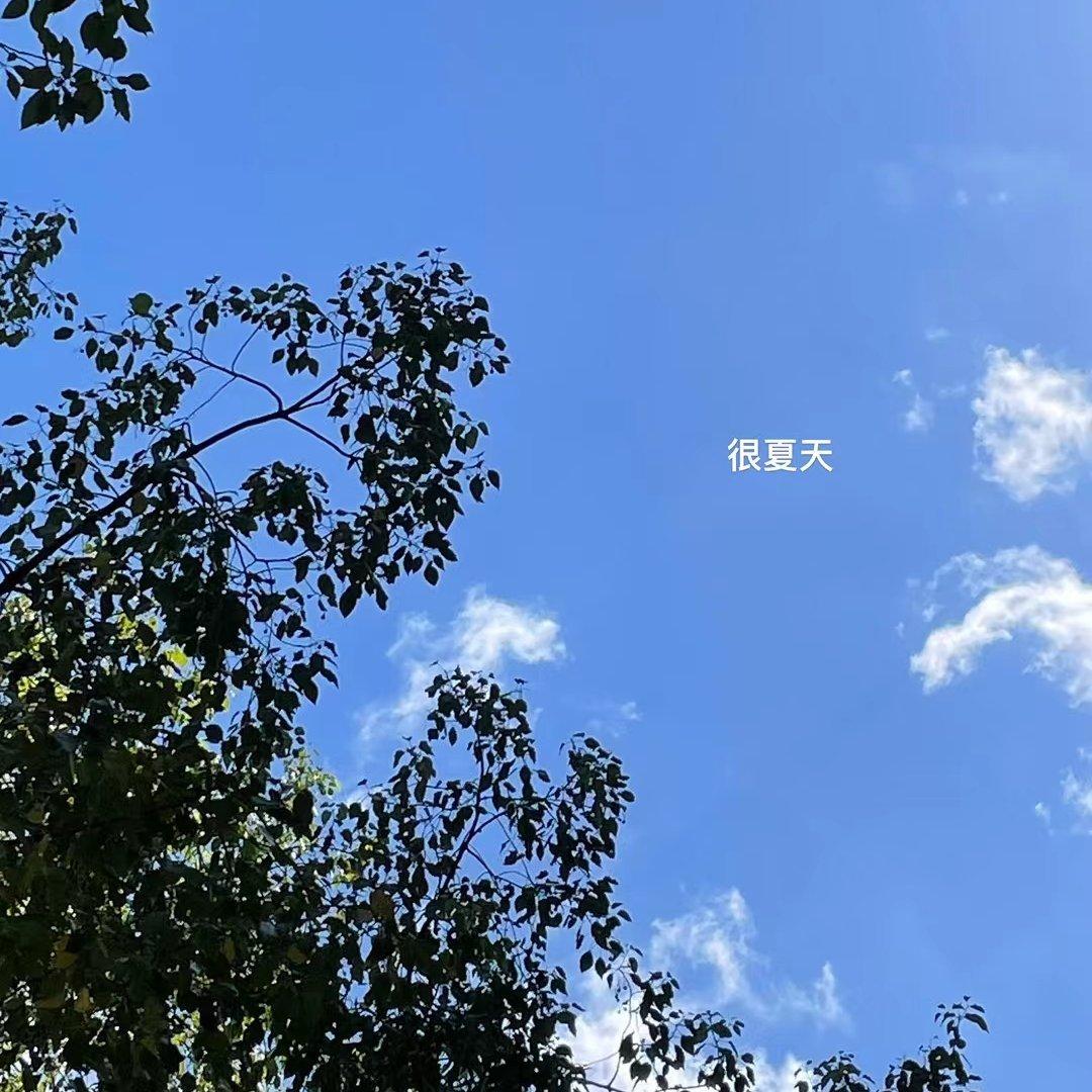 别再闹了封面