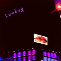 LUVBUG