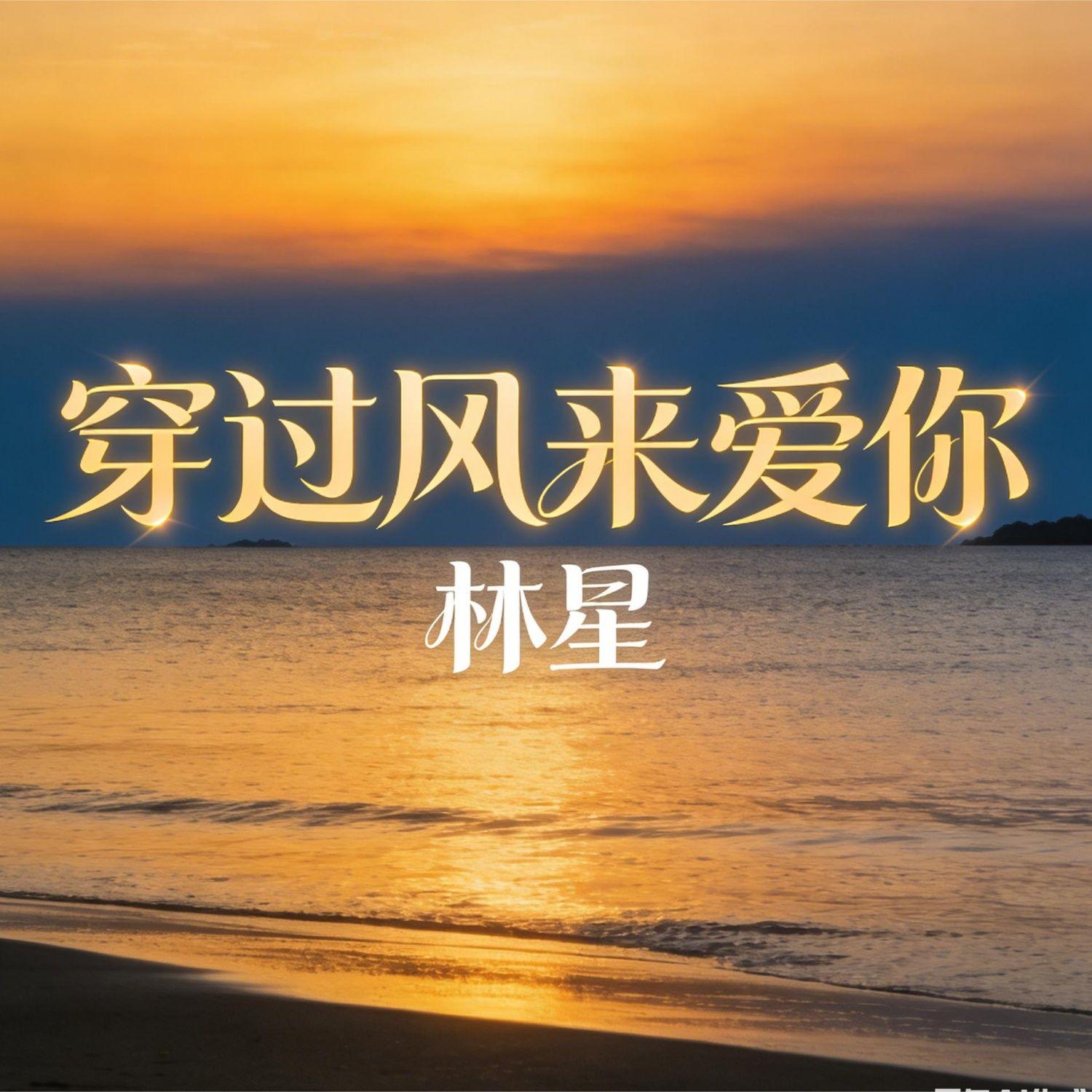 穿过风来爱你封面