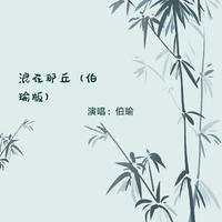浪在那丘