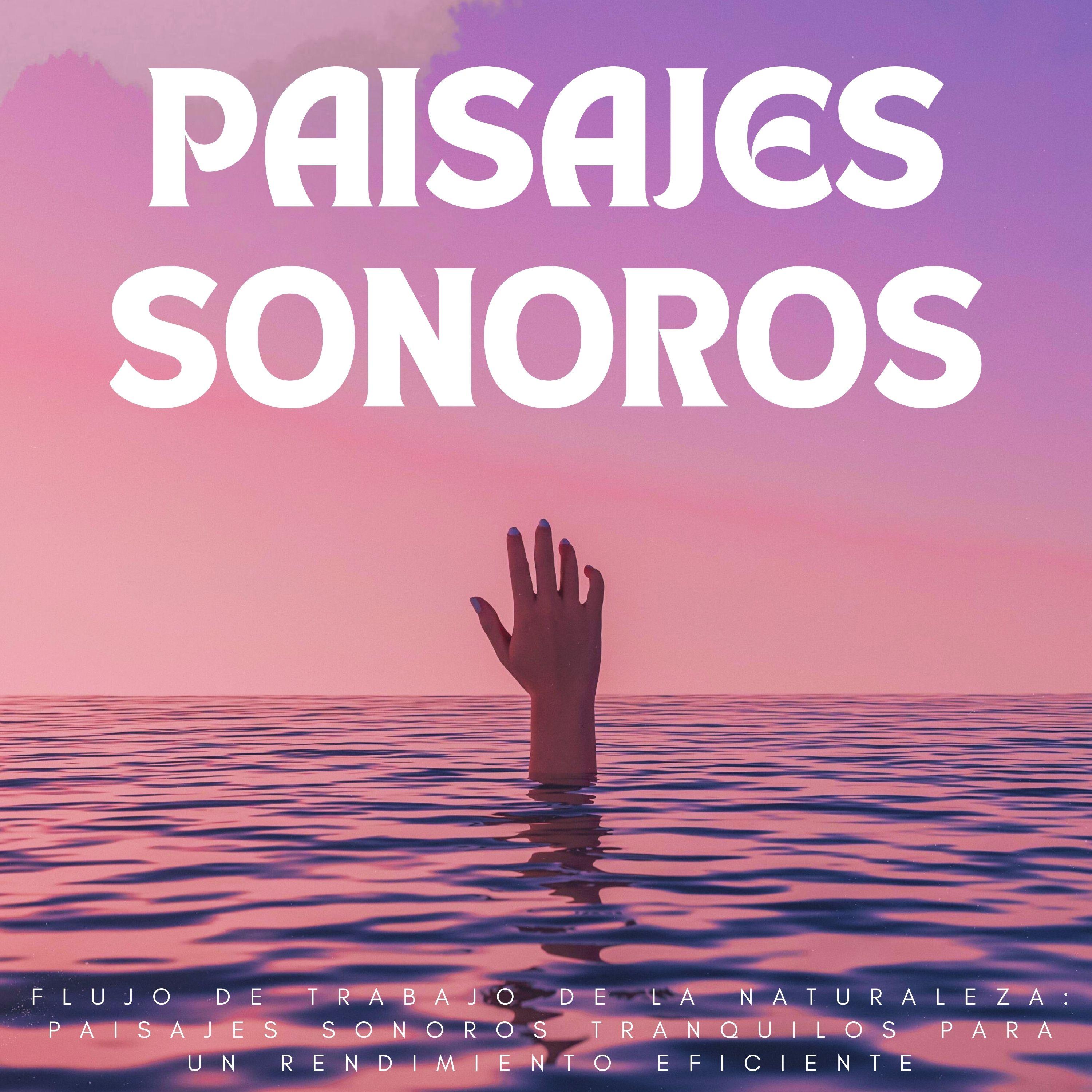 Ritmo De Rápidos_Televisión de la naturaleza_Flujo De Trabajo De La Naturaleza: Paisajes Sonoros Tranquilos Para Un Rendimiento Eficiente | 在线播放_Ritmo De Rápidos歌词_Ritmo De Rápidos下载 | 网易云音乐