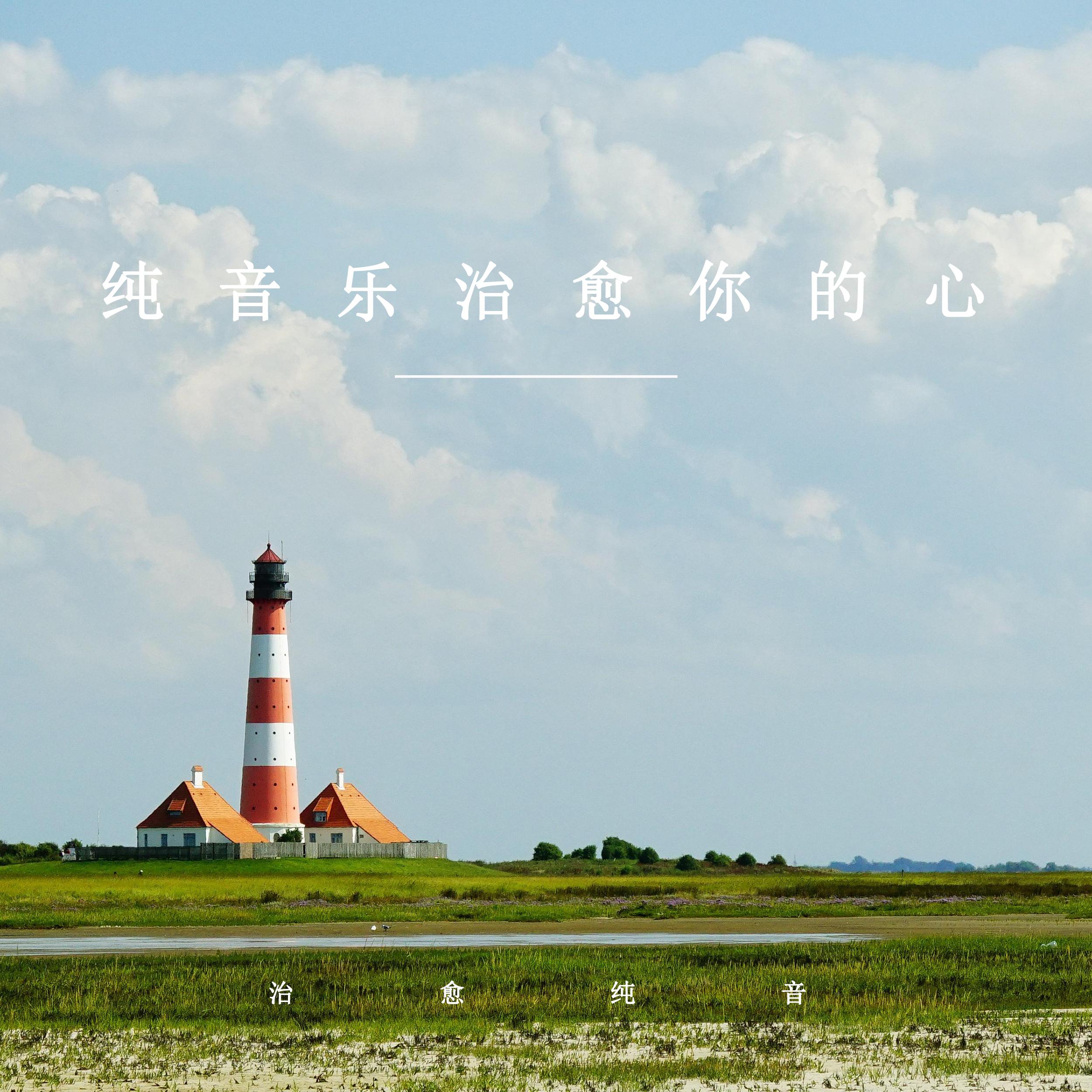 安静下来的夏天封面