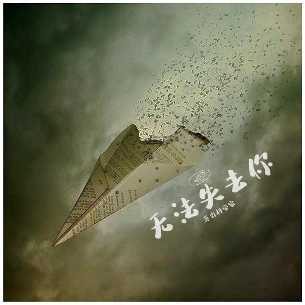 无法失去你封面