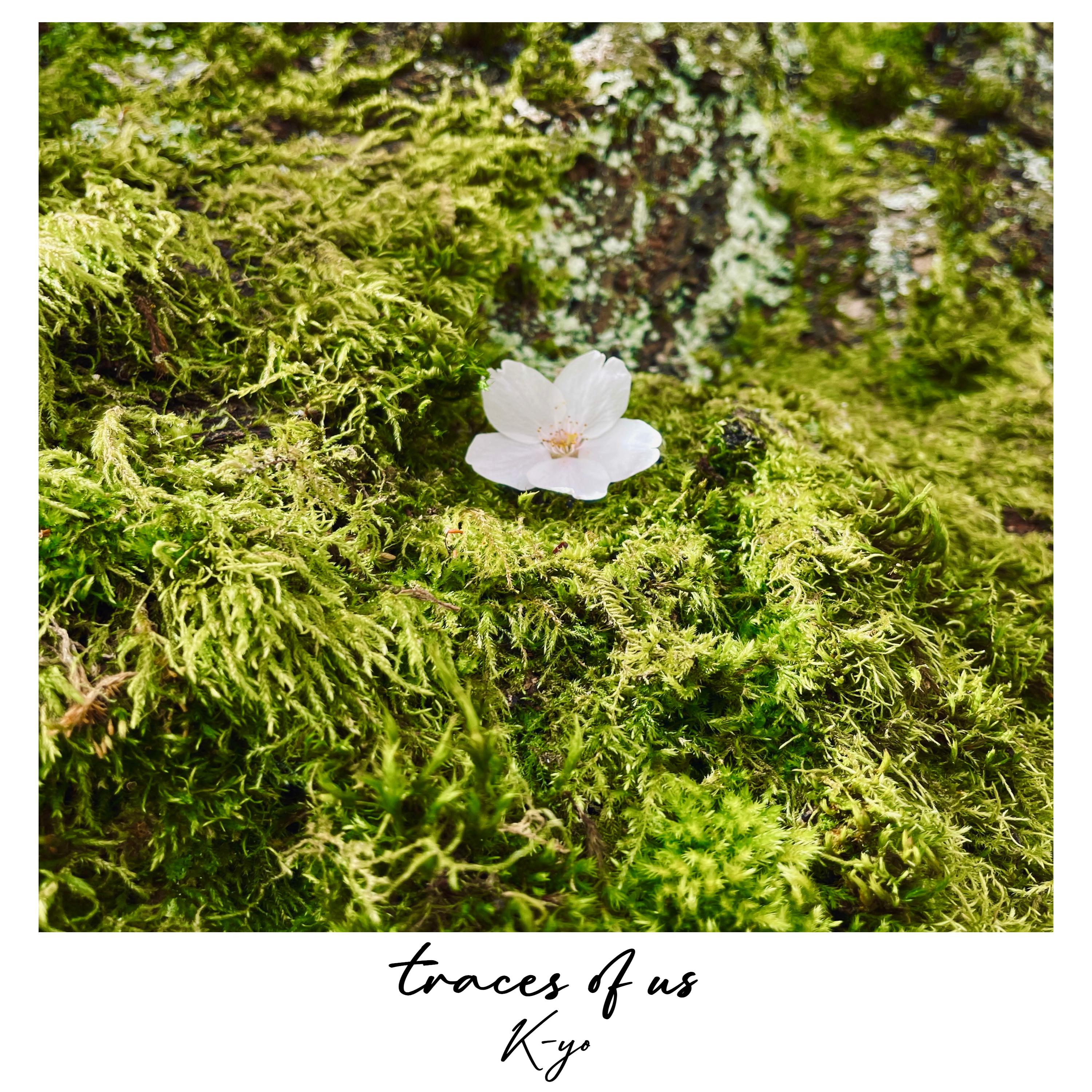 chasing, never reaching