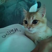 赵赵资料,赵赵最新歌曲,赵赵MV视频,赵赵音乐专辑,赵赵好听的歌