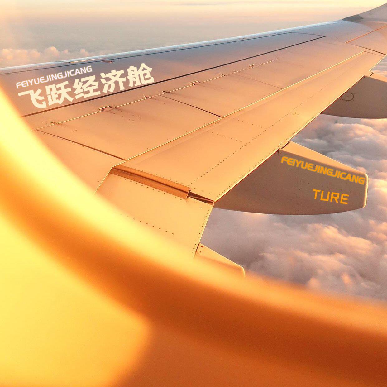 飞跃经济舱封面