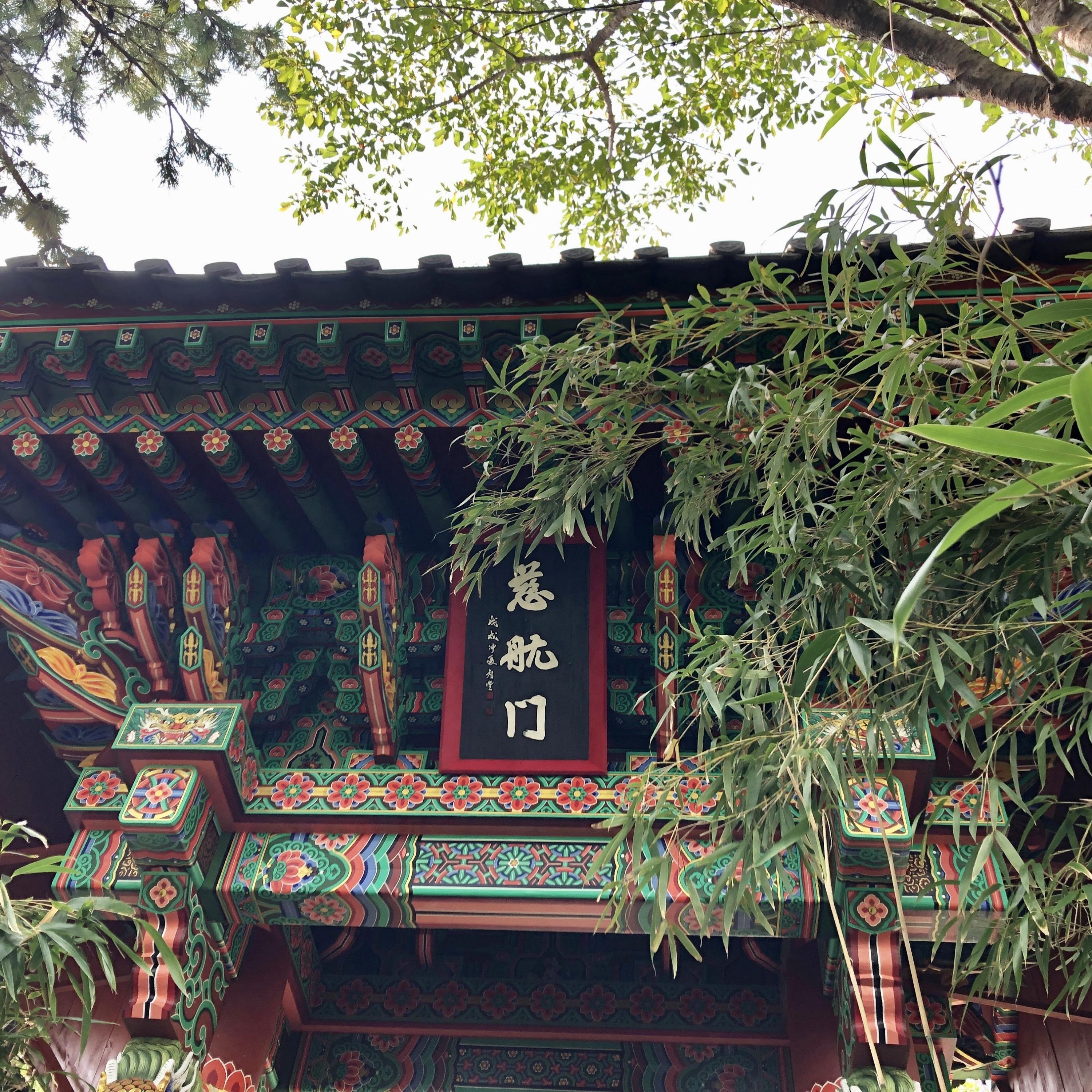 北风吹封面