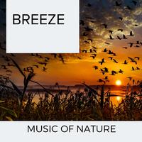 Breeze - Music of Nature