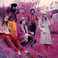 Captain Beefheart & His Magic Band