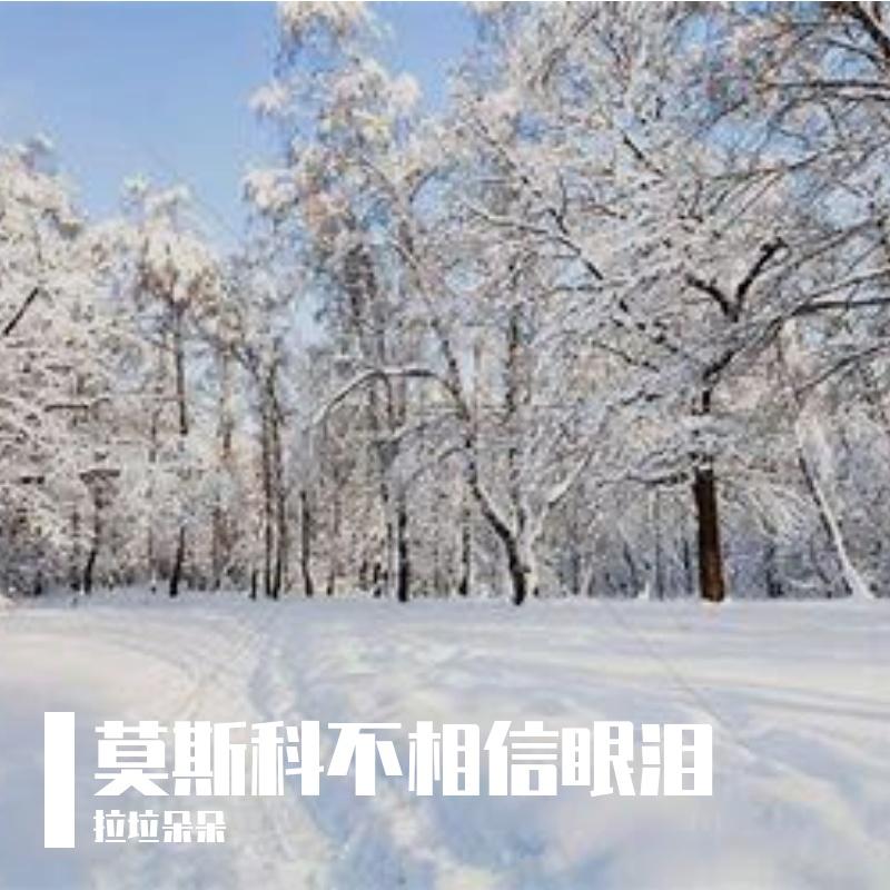 割舍不断的爱情封面