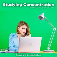 Studying Concentration: Relaxing Study Music For Focus