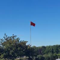 米奇