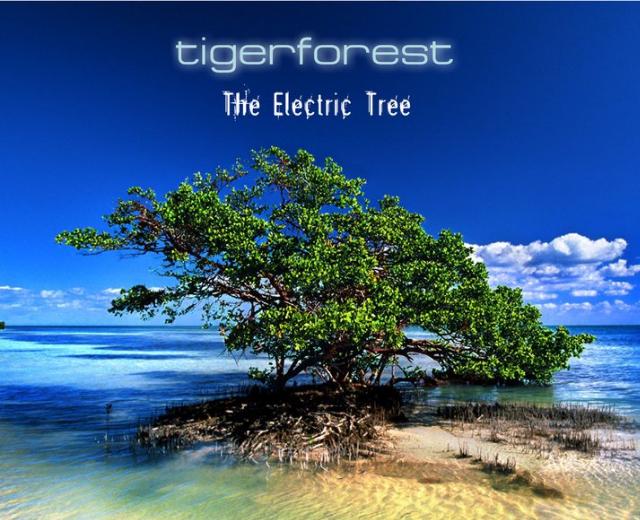 Tigerforest