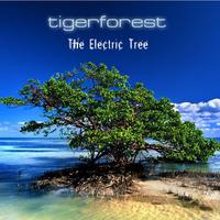 Tigerforest