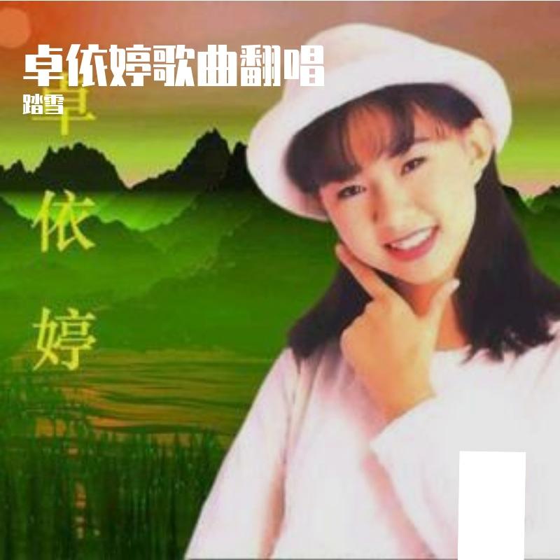 爱在天地间 - 踏雪封面