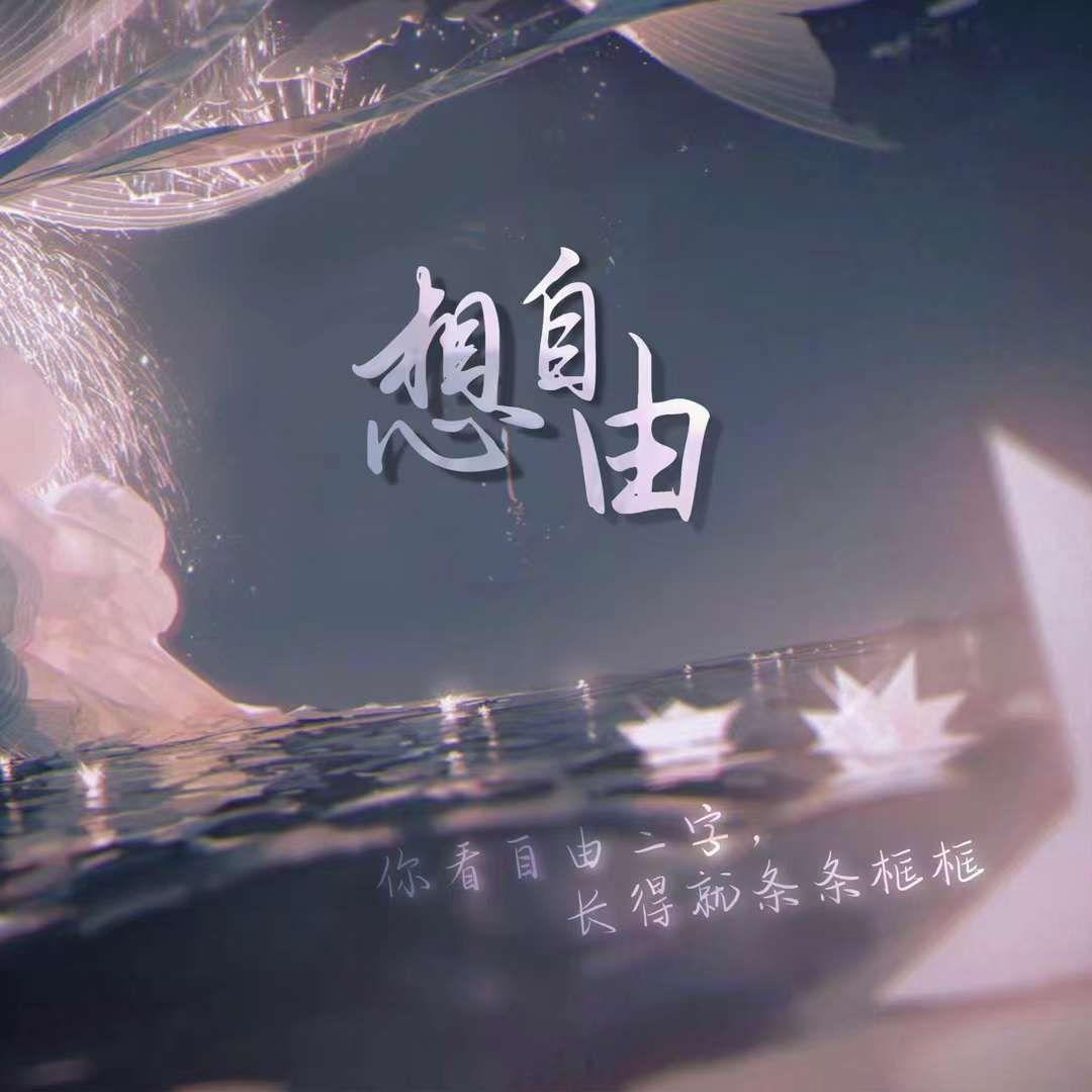 想自由封面