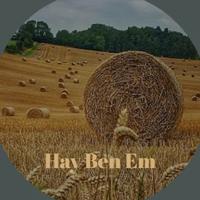 Hay Ben Em