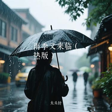 雨季又来临封面