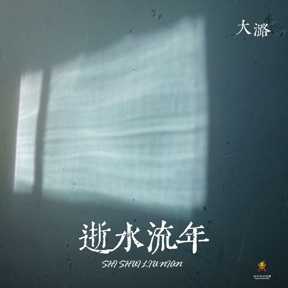 逝水流年 (DJ版伴奏)封面