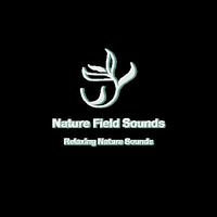 Nature Field Sounds资料,Nature Field Sounds最新歌曲,Nature Field SoundsMV视频,Nature Field Sounds音乐专辑,Nature Field Sounds好听的歌