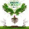 VA Organic Beats Vol. 3 - Mooncloud