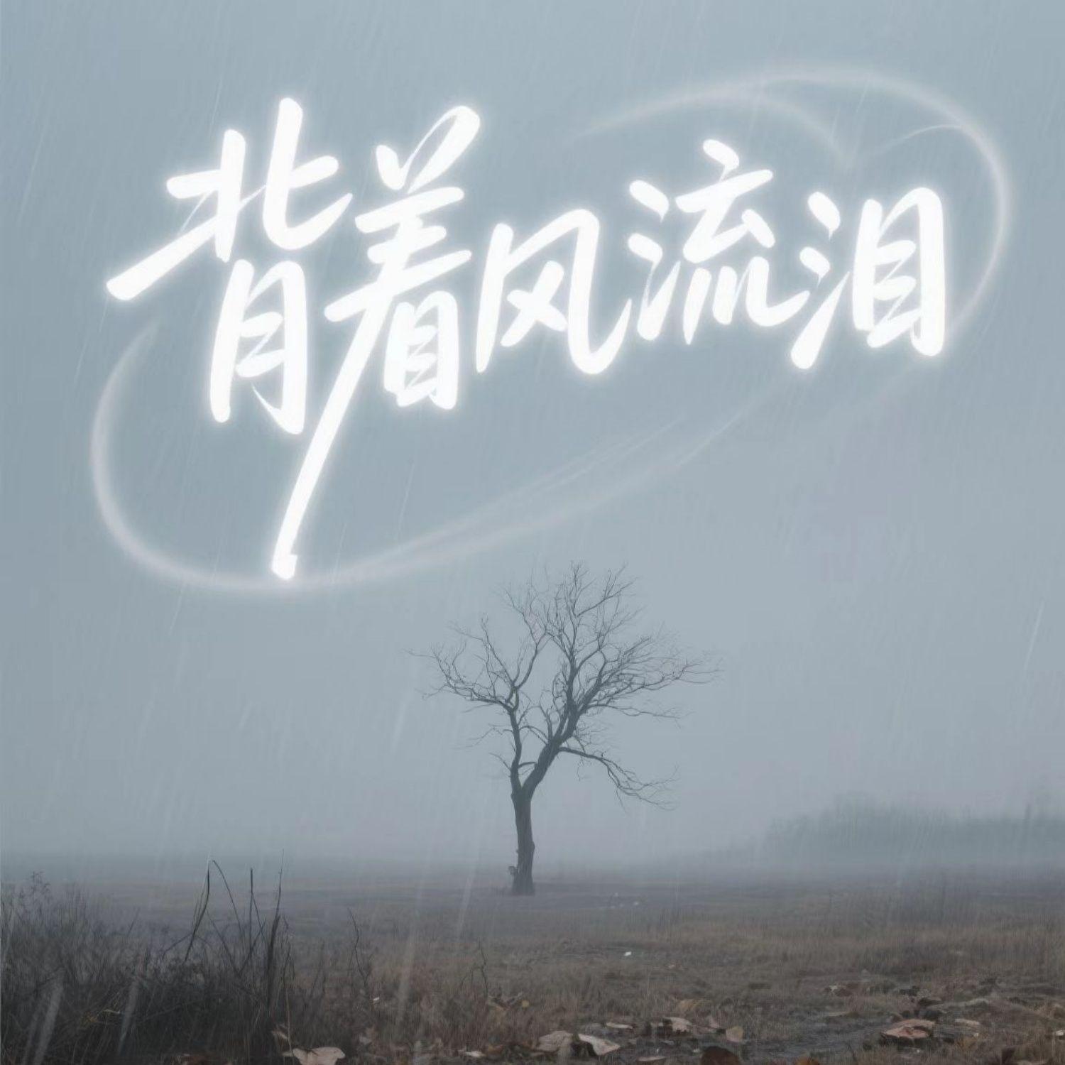 背着风流泪封面