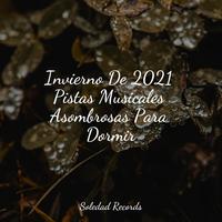 Invierno De 2021 Pistas Musicales Asombrosas Para Dormir