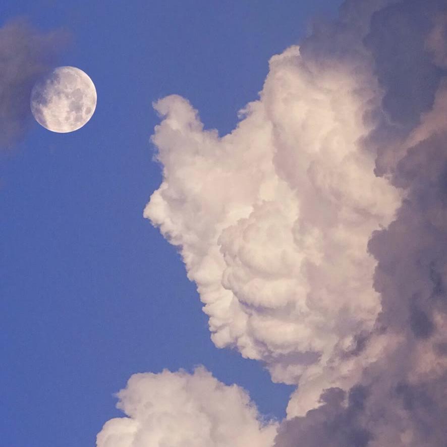 人生如戏全凭演技