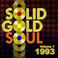 Solid Gold Soul 1993 Vol.1