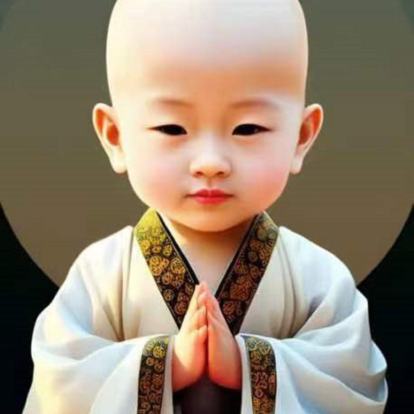 灵魂尽头封面