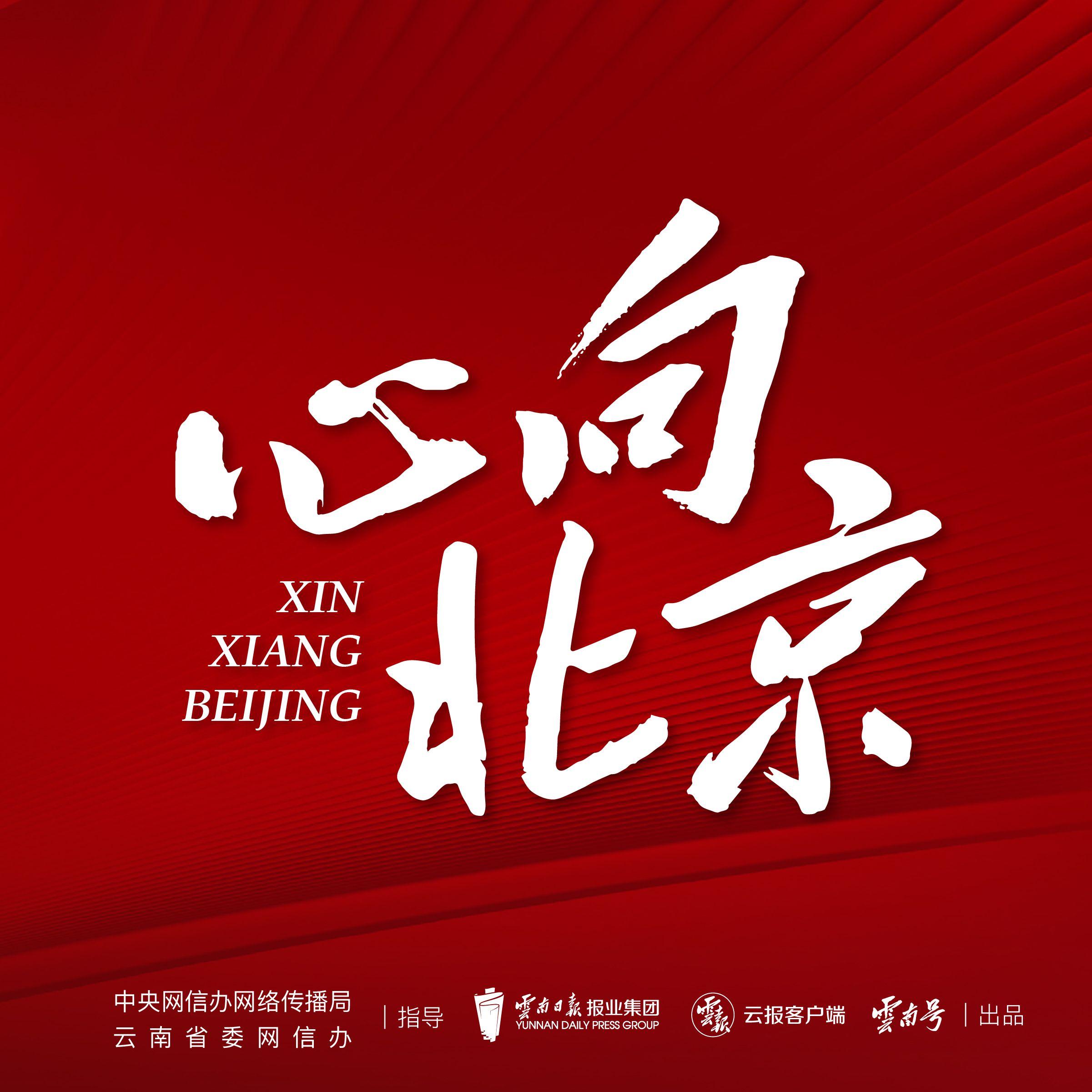 心向北京 (云南日报·云报客户端)封面
