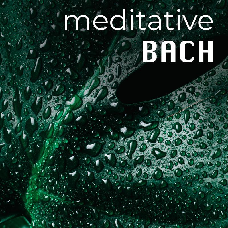 Violin Concerto No. 1 in A minor, BWV 1041:I. (Allegro moderato)