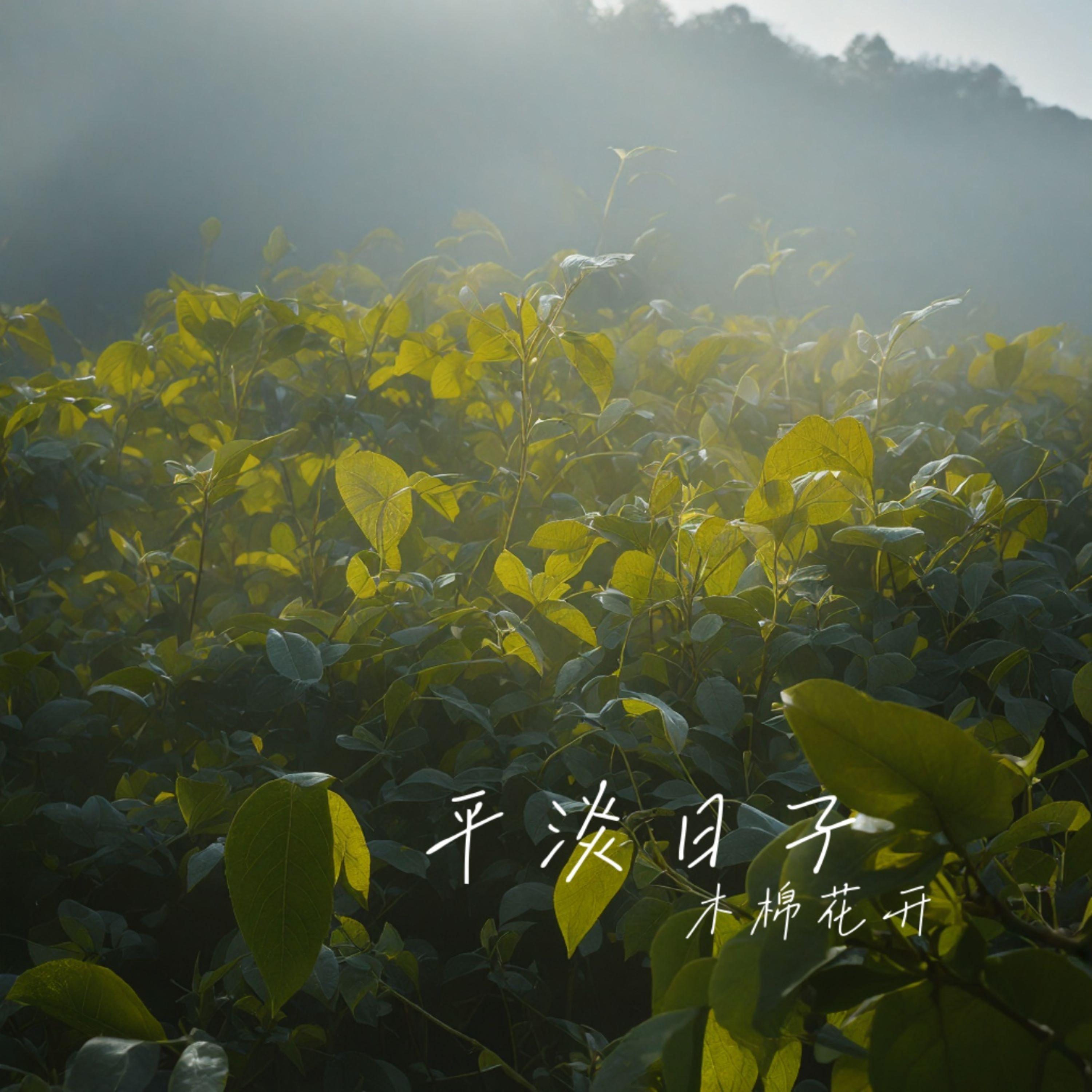 蝶儿飞封面