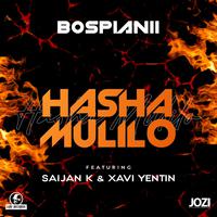 Hasha Mulilo