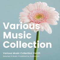 Various Music Collection Vol.66 -Selected & Music-Published by Audiostock-