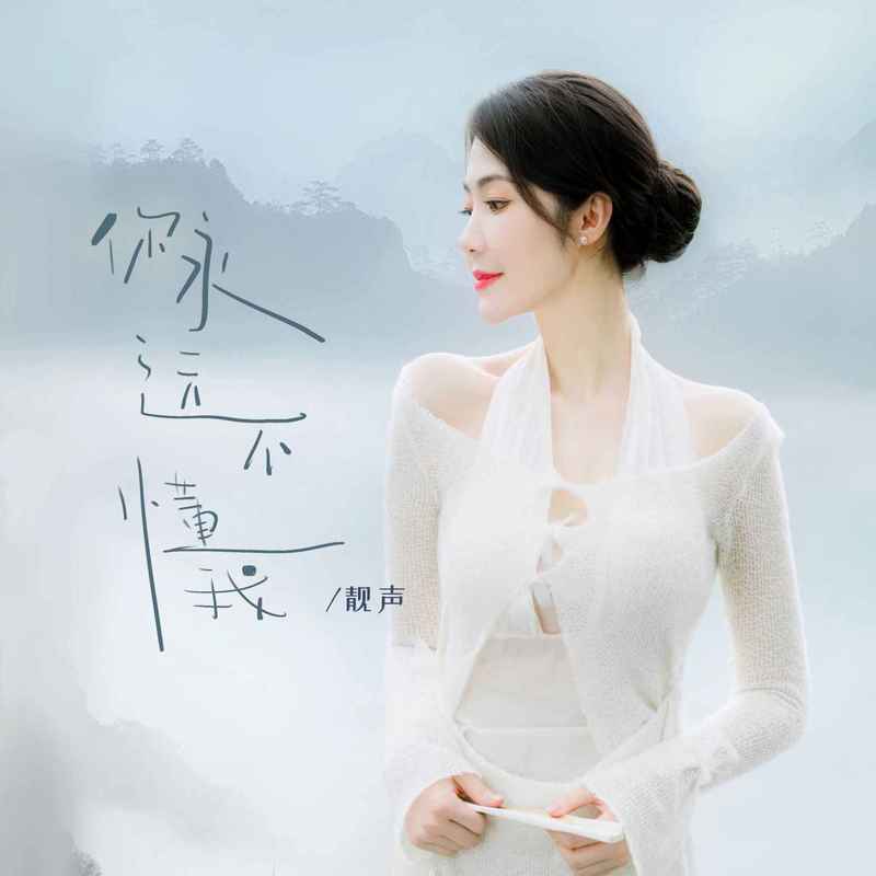 你永远不懂我封面