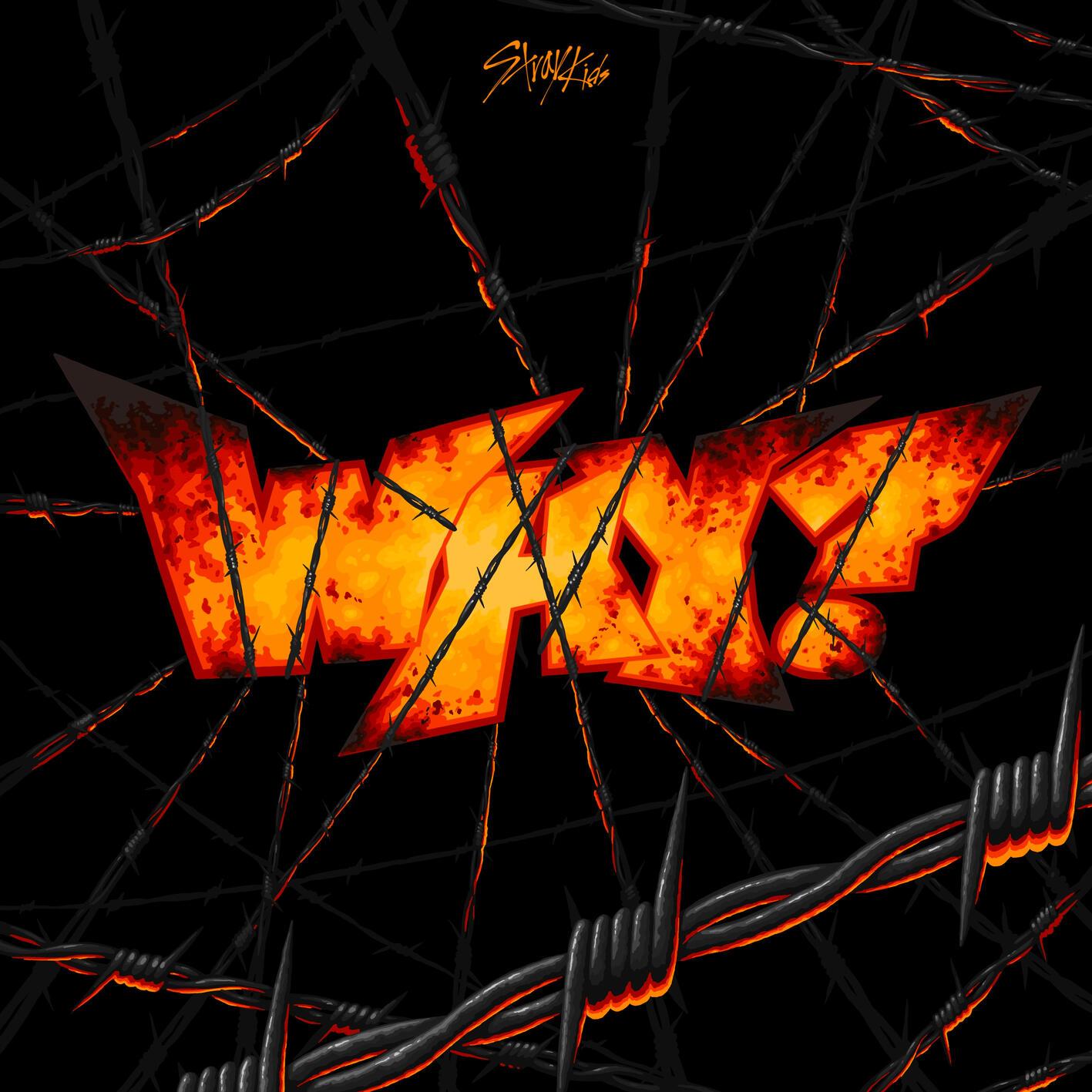 Stray Kids-《WHY_》