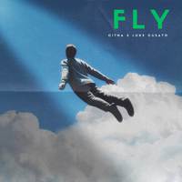 Fly