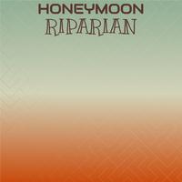 Honeymoon Riparian