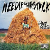 Needle in a Haystack