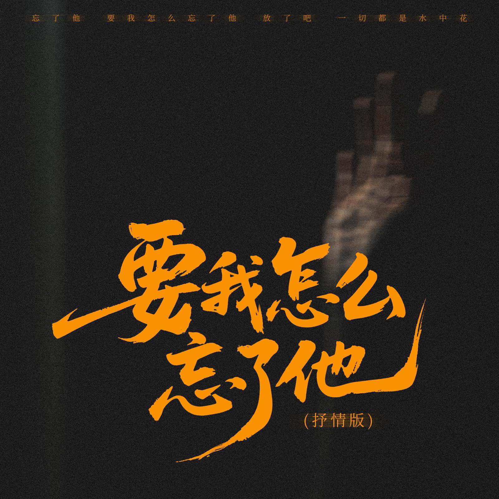 要我怎么忘了他(抒情版)封面
