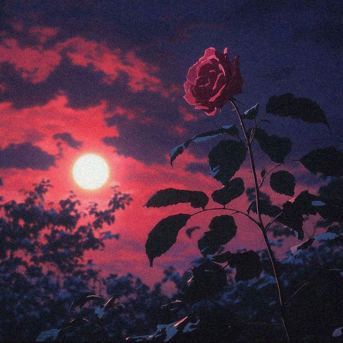 Сенин мееримиң