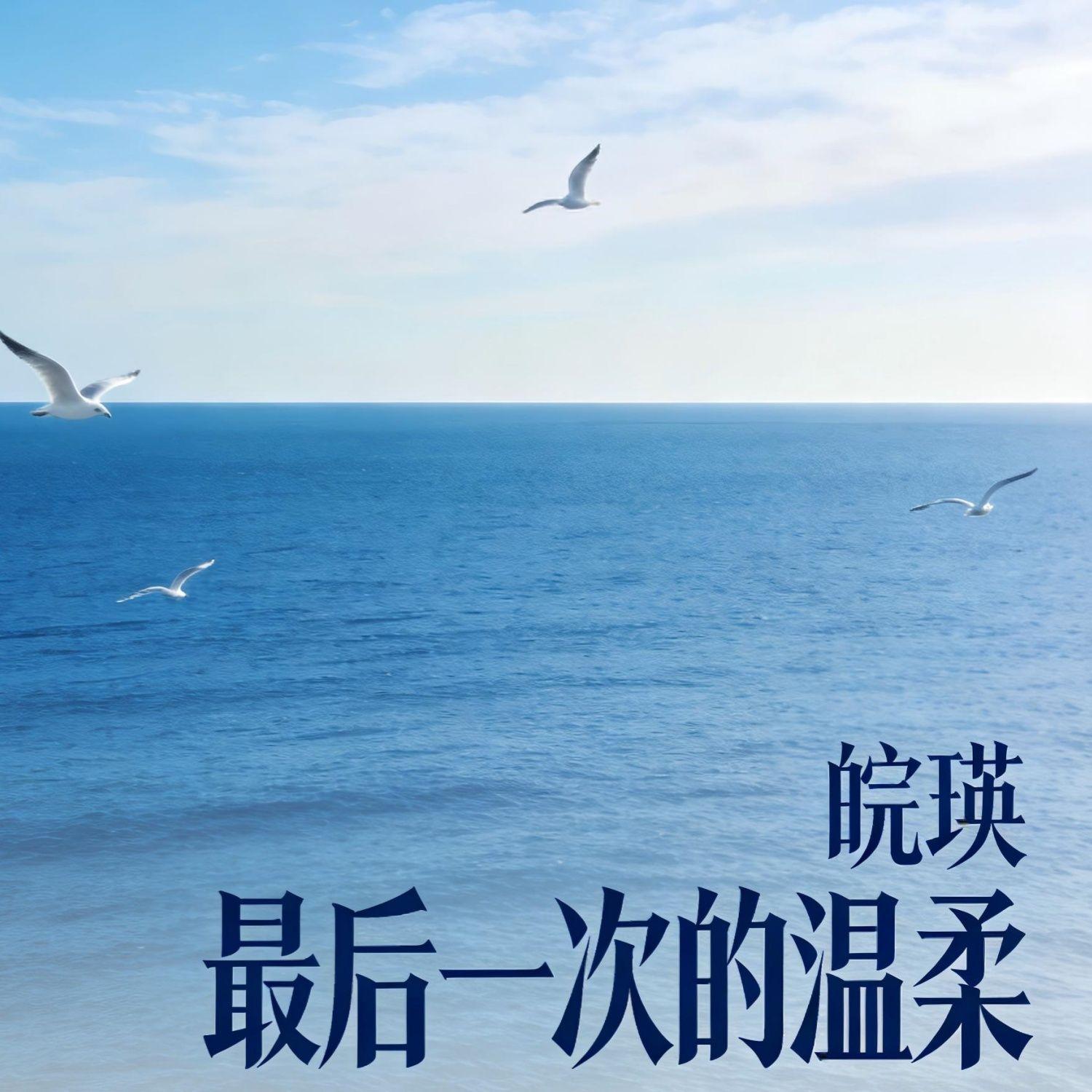 最后一次的温柔 - 皖瑛封面