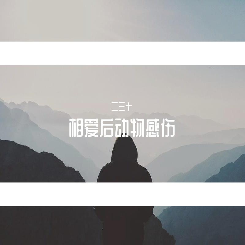 慢慢喜欢你封面