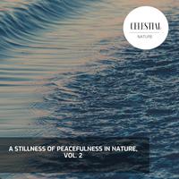 A Stillness of Peacefulness in Nature, Vol. 2