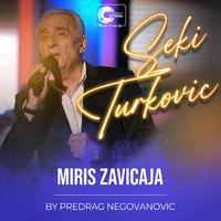 Miris zavicaja (Live)