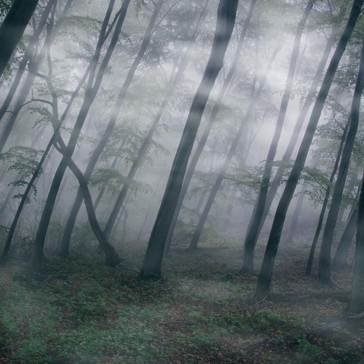 【Free】“雾Stray ”emo pop h3r3 刘清云type beat