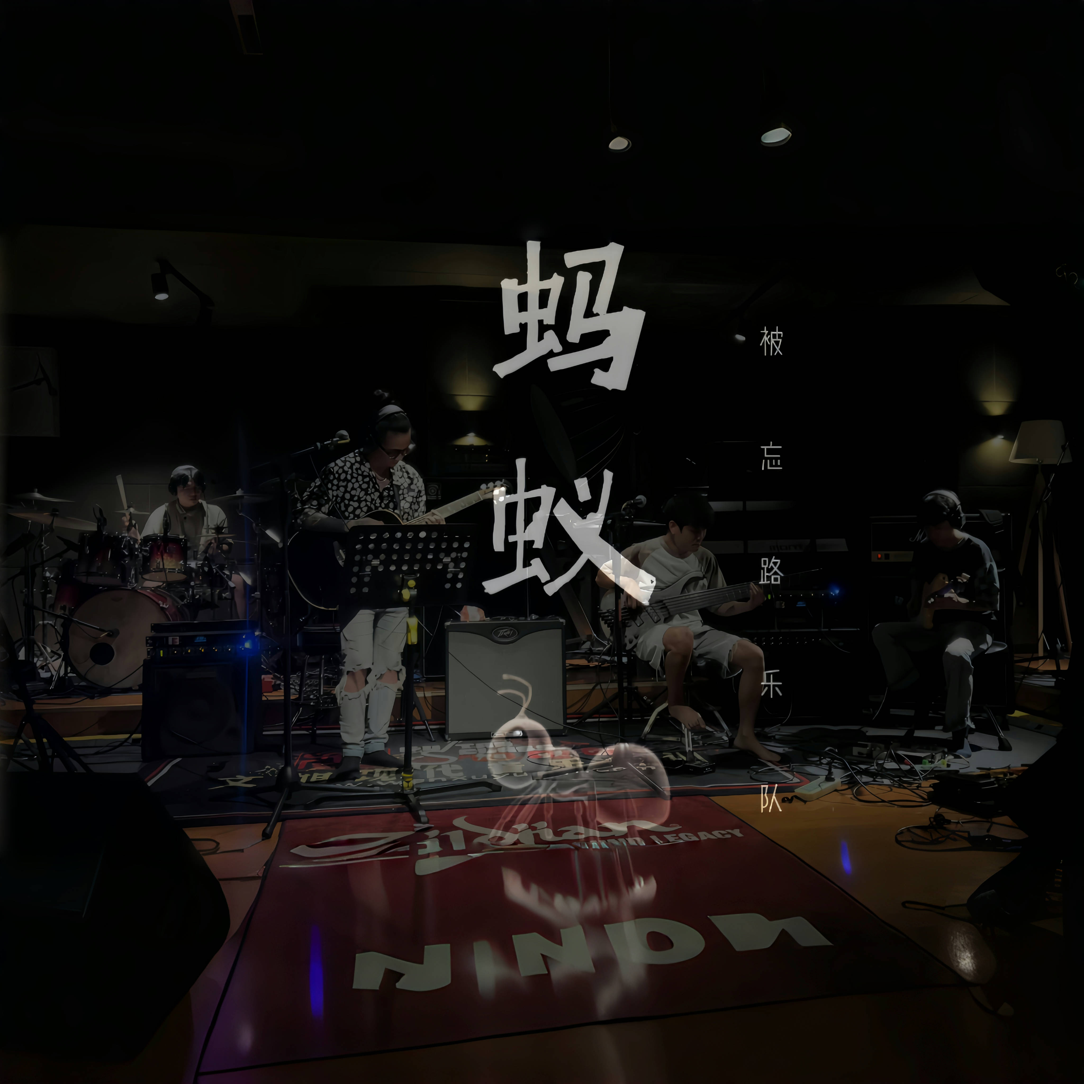 蚂蚁（live）封面