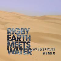 Earth Meets Water (Wildstylez Remix)